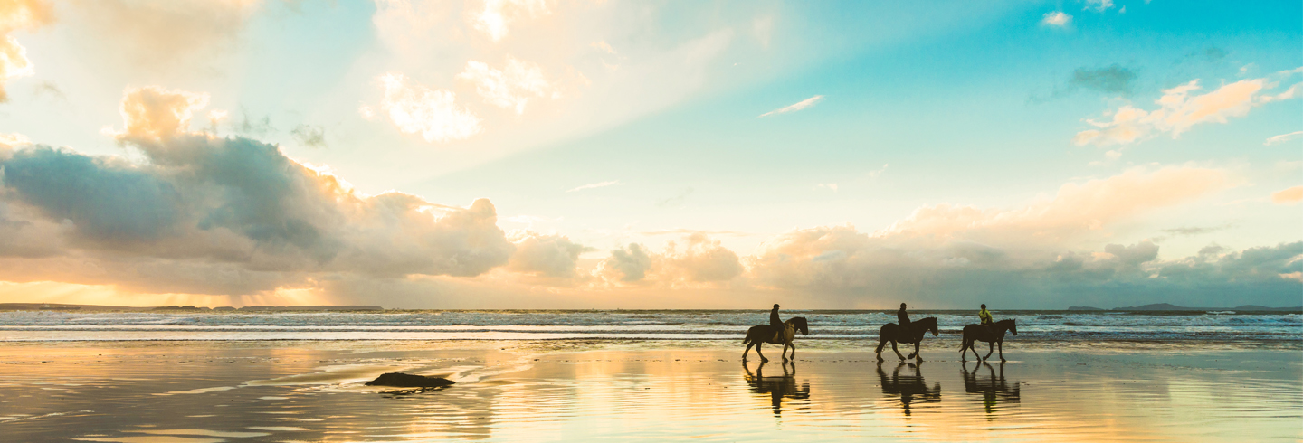 evening beach scene with horseriders