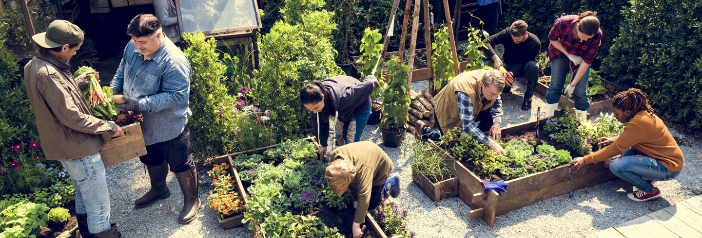 community garden hero 1440