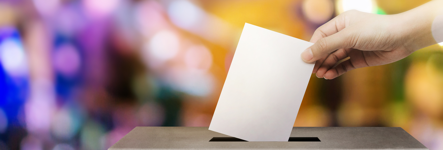 democracy voting