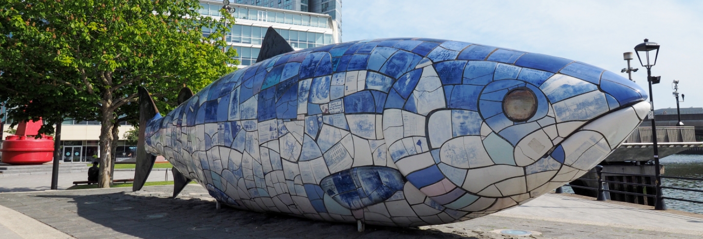 EU and philanthropy podcast with James Magowan Image Salmon of Knowledge celebrating the return of fish to Belfasts river Lagan