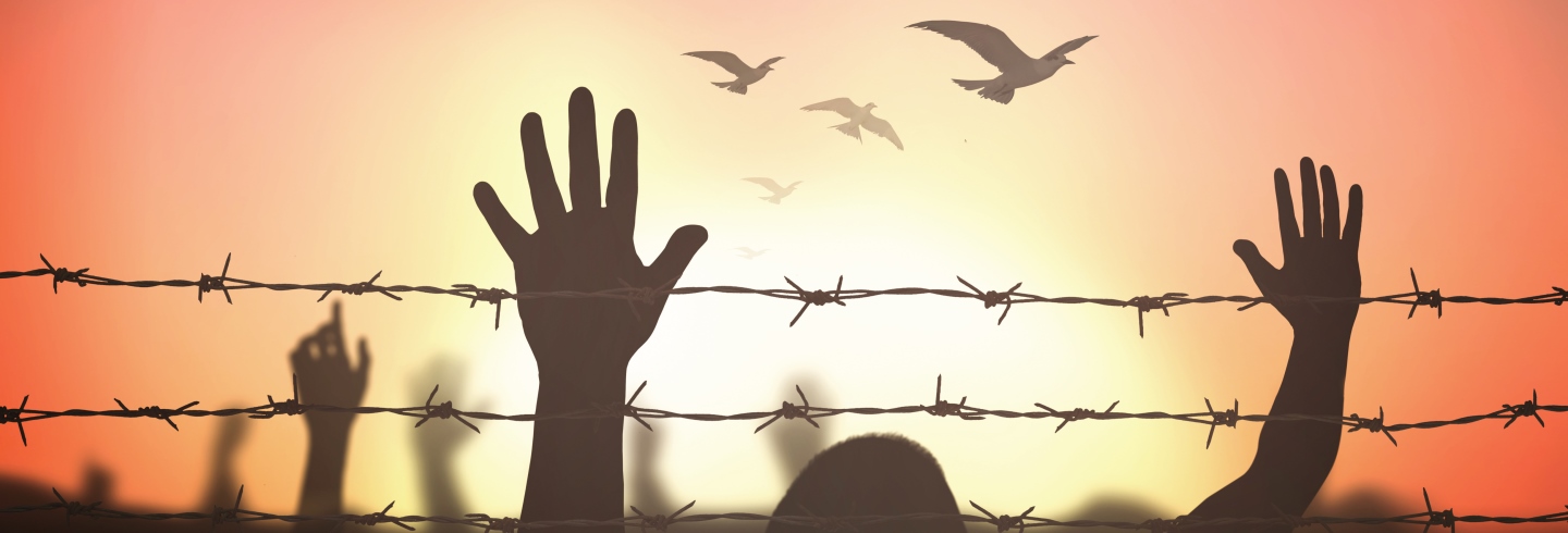 Funding Human Rights Movements with Regan Ralph
