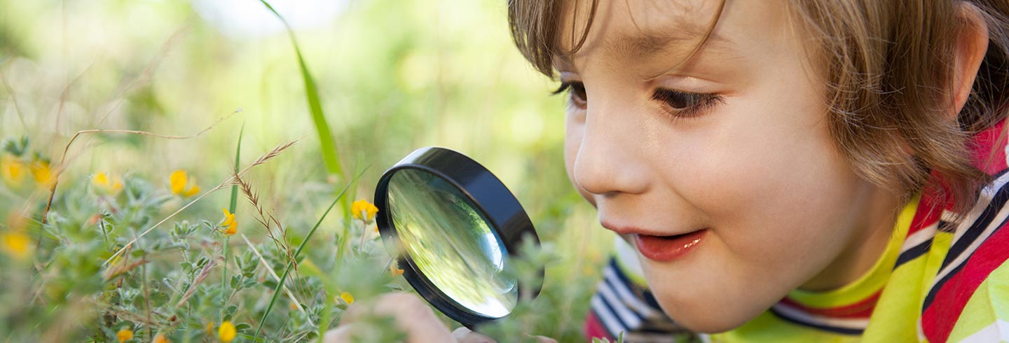 Explore charity investments