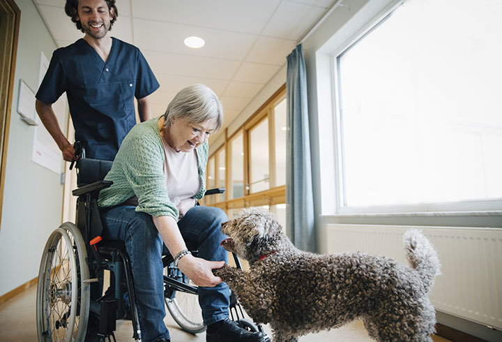 lady-in-wheelchair-shaking-dogs-paw 720