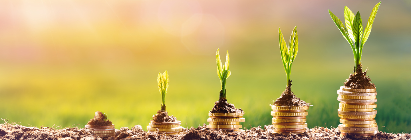 social investment hero money plant